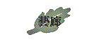 ���Y