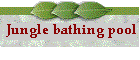 Jungle Bathing Pool