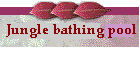 Jungle Bathing Pool