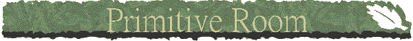 Primitive Room