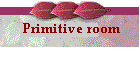 Primitive Room