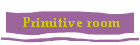 Primitive Room