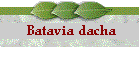 Batavia Princess Cottage